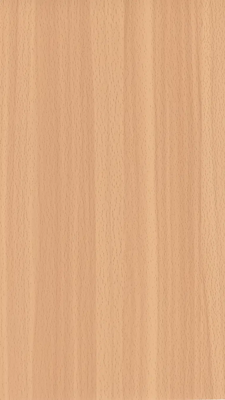 Elmau Beech