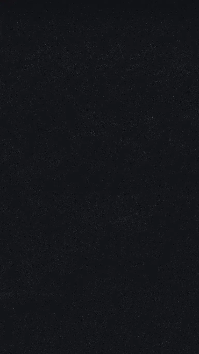 Metalic Black Gloss